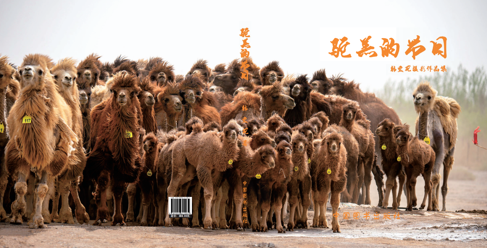 1771926480811771.png 截屏2026-02-24 15.45.18.png